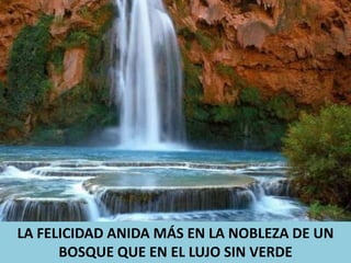 LA FELICIDAD ANIDA MÁS EN LA NOBLEZA DE UN BOSQUE QUE EN EL LUJO SIN VERDE