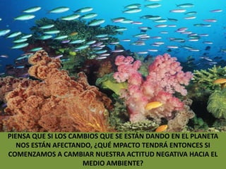 PIENSA QUE SI LOS CAMBIOS QUE SE ESTÁN DANDO EN EL PLANETA NOS ESTÁN AFECTANDO, ¿QUÉ MPACTO TENDRÁ ENTONCES SI COMENZAMOS A CAMBIAR NUESTRA ACTITUD NEGATIVA HACIA EL MEDIO AMBIENTE?