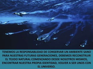 TENEMOS LA RESPONSABLIDAD DE CONSERVAR UN AMBIENTE SANO PARA NUESTRAS FUTURAS GENERACIONES, DEBEMOS RECONSTRUIR EL TEJIDO NATURAL COMENZANDO DESDE NOSOTROS MISMOS, ENCONTRAR NUESTRA PROPIA IDENTIDAD, VOLVER A SER UNOS CON EL UNIVERSO.