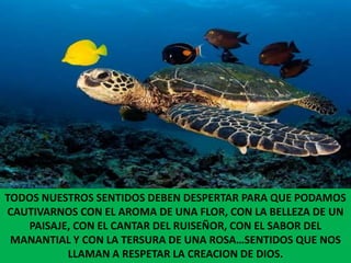 TODOS NUESTROS SENTIDOS DEBEN DESPERTAR PARA QUE PODAMOS CAUTIVARNOS CON EL AROMA DE UNA FLOR, CON LA BELLEZA DE UN PAISAJE, CON EL CANTAR DEL RUISEÑOR, CON EL SABOR DEL MANANTIAL Y CON LA TERSURA DE UNA ROSA…SENTIDOS QUE NOS LLAMAN A RESPETAR LA CREACION DE DIOS.