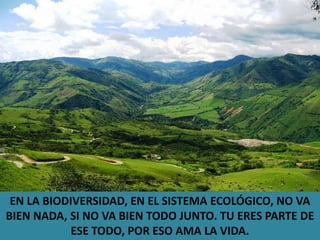 EN LA BIODIVERSIDAD, EN EL SISTEMA ECOLÓGICO, NO VA BIEN NADA, SI NO VA BIEN TODO JUNTO. TU ERES PARTE DE ESE TODO, POR ESO AMA LA VIDA.