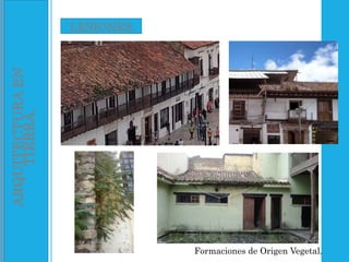 ARQUITECTURA
EN
TIERRA. LESIONES.
Formaciones de Origen Vegetal.
 