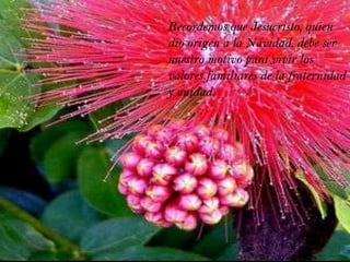 Recordemos que Jesucristo, quien dio origen a la Navidad, debe ser nuestro motivo para vivir los valores familiares de la fraternidad y unidad.