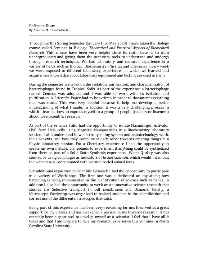 Essay about experience