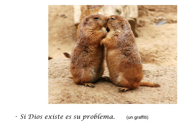 Le gustan los mocos en la cara 3