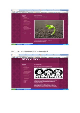 HACIA UNA MAYOR COMPETENCIA REFLEXIVA 
 