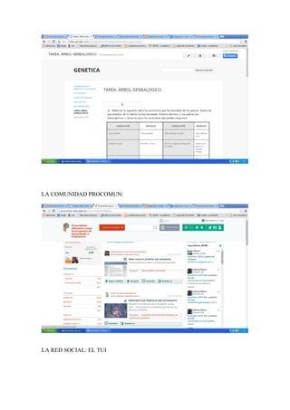 LA COMUNIDAD PROCOMUN: 
LA RED SOCIAL: EL TUI 
 