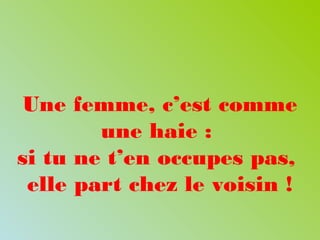 Une femme, c’est comme
une haie :
si tu ne t’en occupes pas,
elle part chez le voisin !
 