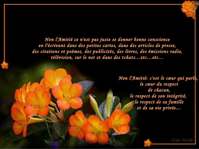 Reflexion Sur L Amitie