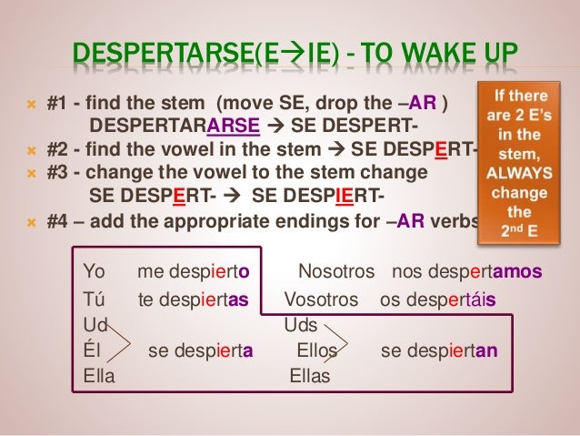 Reflexive stem changing verbs
