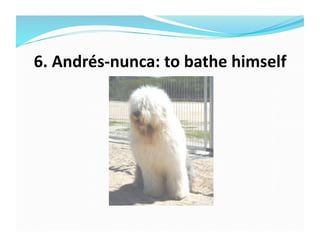 6.	
  Andrés-­‐nunca:	
  to	
  bathe	
  himself	
  
 