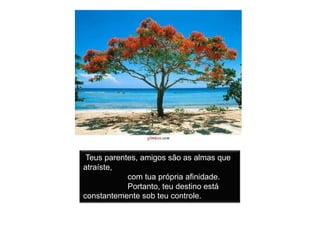 Teus parentes, amigos são as almas que atraíste,                     com tua própria afinidade.                     Portanto, teu destino está constantemente sob teu controle. 