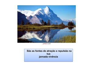   São as fontes de atração e repulsão na tua jornada vivência 