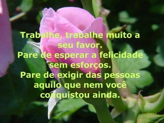 Trabalhe, trabalhe muito a seu favor. Pare de esperar a felicidade sem esforços. Pare de exigir das pessoas aquilo que nem você conquistou ainda. 