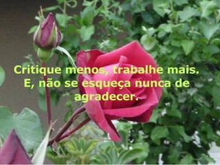 Critique menos, trabalhe mais. E, não se esqueça nunca de agradecer. 