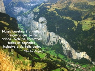 Nosso cérebro é o melhor brinquedo que já foi criado. Nele se encontram todos os segredos, inclusive o da felicidade. (Charles Chaplin) 