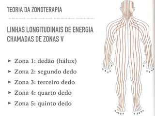 TEORIA DA ZONOTERAPIA
LINHAS LONGITUDINAIS DE ENERGIA
CHAMADAS DE ZONAS V
➤ Zona 1: dedão (hálux)
➤ Zona 2: segundo dedo
➤ Zona 3: terceiro dedo
➤ Zona 4: quarto dedo
➤ Zona 5: quinto dedo
 