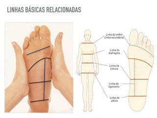 LINHAS BÁSICAS RELACIONADAS
 