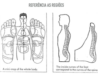 REFERÊNCIA AS REGIÕES
 