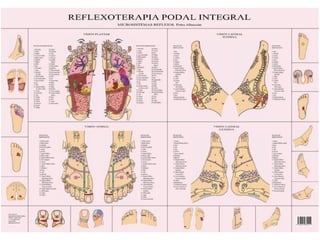 Reflexogia podal    podologia