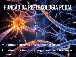 FUNÇÃO DA REFLEXOLOGIA PODAL
➤ Estímulo através dos canais nervosos
➤ Estímulo a função do órgão ou parte do corpo
tensos
 