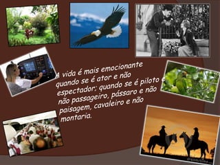 A vida é mais emocionante quando se é ator e não espectador; quando se é piloto e não passageiro, pássaro e não paisagem, cavaleiro e não montaria. 