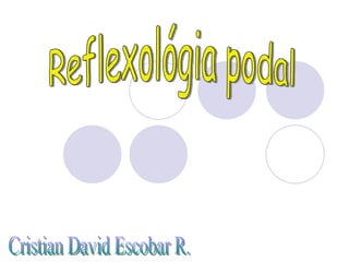 Reflexológia podal Cristian David Escobar R. 