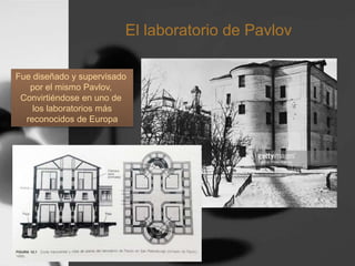El laboratorio de Pavlov
Fue diseñado y supervisado
por el mismo Pavlov,
Convirtiéndose en uno de
los laboratorios más
reconocidos de Europa
 
