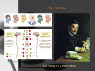 Iván Sechenov
Los reflejos del Cerebro (1863)
 