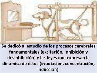 EL EXPERIMENTO DE PAVLOV