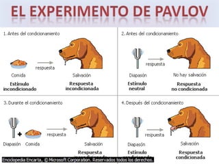 EL CONDICIONAMIENTOEs una técnica que permite descubrir las condiciones para que ante un estímulo se dé una respuesta que no le pertenece. 