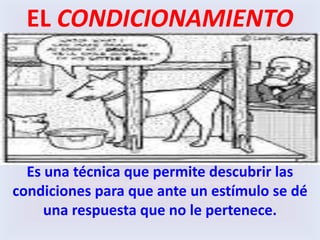REFLEJO CONDICIONADO Respuesta no innata a un estímulo dado Que el individuo adquiere mediante aprendizaje.