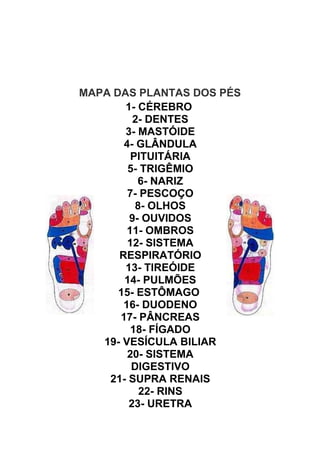 MAPA DAS PLANTAS DOS PÉS
       1- CÉREBRO
         2- DENTES
       3- MASTÓIDE
       4- GLÂNDULA
         PITUITÁRIA
        5- TRIGÊMIO
          6- NARIZ
        7- PESCOÇO
          8- OLHOS
        9- OUVIDOS
        11- OMBROS
        12- SISTEMA
      RESPIRATÓRIO
       13- TIREÓIDE
       14- PULMÕES
      15- ESTÔMAGO
       16- DUODENO
      17- PÂNCREAS
         18- FÍGADO
   19- VESÍCULA BILIAR
        20- SISTEMA
         DIGESTIVO
    21- SUPRA RENAIS
           22- RINS
        23- URETRA
 
