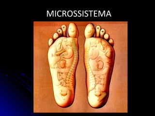 MICROSSISTEMAMICROSSISTEMA
 