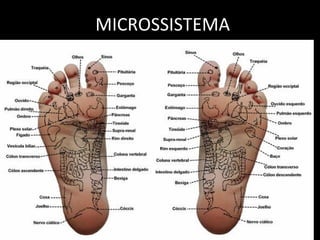 MICROSSISTEMAMICROSSISTEMA
 