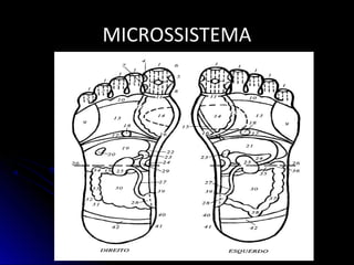 MICROSSISTEMAMICROSSISTEMA
 