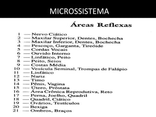 MICROSSISTEMAMICROSSISTEMA
 