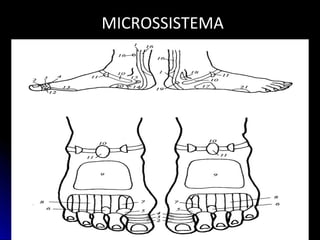 MICROSSISTEMAMICROSSISTEMA
 