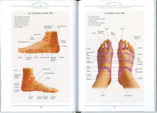 '..NT£S    DO   S.1b


------------~-~-"--                    Q -_€_,,------------
                          REFLEXOLOGIA




  Os reflexos reprodu-                                        Os reflexos do
  tivos estao localiza-                                       sistema linfatico estao
  dos principal mente                                         localizados
  nas faces interna e                                         principal mente sobre
  extern a dos pes e                                          o dorsa dos pes
                                             Linfonodos da
  tornozelos.                                pelve/virilha




                                                                                        Seio
                                                                                        8r"l'0
                                                                                        COSIeIas
                                                                                        Corovelo
 