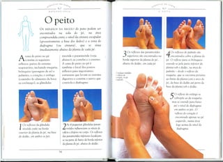 _~'t.~T£.S   DO    SA.8~,

__________              s_~             9 __"                                  _
                          REFLEXOLOGIA




                       o peito
                  OS REFLEXOS DA REGIAo        do peito podem ser
                  encontrados      na sola do pe,        na area
                  compreendida entre 0 nivel da cintura escapular
                  (grosseiramente a base dos dedos) e a zona do
                  diafragma      (ou  cintura) , que     se situa
                  imediatamente abaixo da planta de cada pe.

                                             tire6ide e paratire6ide    (veja                   3 as   reflexos das paratire6ides
                                                                                                    superiores sao eneantrados na   4a  05 reflexos do pulmao sao
                                                                                                                                        encontrados sobre a planta do
A     zona do peito no pe
       contem os seguintes
reflexos: partes do sistema
                                             abaixo); as costelas e
                                             A zona do peito no pe e
                                                                       0 esterno.               borda superior da planta do pe,
                                                                                                abaixo do dedao, em cada pe.
                                                                                                                                    pe.    reflexo para 05 bronquios
                                                                                                                                    estende-se pela parte inferior da
respirat6rio, incluindo traqueia,            tambem 0 local dos pontos                                                              planta sob 0 dedao, na area do
bronquios (passagens de ar) e                reflexos para importantes
                                                                                       o [)olegor trabalha                          pulmao - desde 0 reflexo da
pulm6es; 0 coras:ao; 0 esOfago               estruturas que levam ao sistema           o reflexo do                                 traqueia, que se encontra pr6ximo
                                                                                       corafaO! no pc
(caminho do alimento da boca                 digestivo e contem 0 nervo que            esquerdo.                                    ao limite da planta com 0 area do
ao estomago); as glandulas                   controla 0 diafragma.                                                                  pe, da base do dedao ate perta da
                                                                                                                                    base da planta sob 0 dedao.


                                                                                                                                       5a      reflexo do esofago se
                                                                                                                                          sobrep6e ao da traqueia,
                                                                                                                                         mas se estende para baixo
                                                                                                                                          ate 0 nlve! do diafragma
                                                                                                                                           em ambos 05 pes. a
                                                                                                                                           reflexo do eara~ao e
                                                                                                                                            eneantrado apenas no /)e
                                                                                                                                            esquerdo, numa area

1as
                                                 As 4 pequenas glandulas parati-
        reflexos da glandula
    tire6ide estao na borda                  2   re6ides influenciam 05 nlveis de
                                                                                                                                             logo acima do nlvel do
                                                                                                                                              diafragma.
exterior da planta do pe, na base            calcio e f6sforo no corpo. as reflexos
do dedao, em ambos 05 pes.                   das paratire6ides inferiores localizam-
                                             se na parte de baixo da borda inferior
                                             da planta do pe, abaixo do dedao.
 