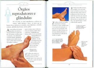 • ~ £. N T E S   DOS.4   8

                         ,"            V        --€-,,-----------
                           REFLEXOLOGIA


                           /


               Orgaos                                                                                                    3   0 reflexo das tubas uterinas
                                                                                                                              na mulher e dos vas os defe-
                                                                                                                         rentes no homem encontra-se na
                                                                                                                         junfao das duas outras zonas re-
           reprodutores e                                                                                                !Jrodutoras no dorso do pi, pas-
                                                                                                                         sando bem em freme aos ossos do

              glandulas                                                                                                  tornozelo, Trata-se cada ovario e
                                                                                                                         tuba uterina no respeetivo pi, ou
                                                                                                                         seja, 0 pi esquerdo para 0 ovario
             NA MULHER,    as zonas reprodutoras se referem aos
            ovarios, tubas uterinas e utero, ao passo que no
homem elas se referem aos testiculos, vasos deferentes, vesiculas
                                                                                     2    0 reflexo do utero na mulher
                                                                                         e da pr6stata no homem
                                                                                                                         e tuba do lado esquerdo,

                                                                                     encontra-se a meio caminho entre               Os reflexos no po esquerdo
                                                                                                                                    se referem aos 6rgiios
seminais, glandula da pr6staw, uretra e penis,                                       o osso interior do tornozelo e a               reprodutOres e glandulas do
                                                                                     pane de tras do calcanhaL Ha                   !ado esquerdo do corpo
                                               para os ovarios, utero e tubas ute-
A    s zonas reflexas do sistema
     reprodutor encontram-se
nas faces laterais e no dorso dos
                                               rinas encontram-se dentro dessa
                                               zona do pe, As glandulas que
                                                                                     tambim um reflexo do utero ou
                                                                                     pr6stata subindo pela perna, a
                                               afetam ambos os sexos encontram       curta distdncia de cada lado do
pes, No homem, os reflexos para
                                                             correspondencia nos     tendao de Aquiles,
os test(culos, vasos deferentes,
vesiculas seminais, glandula da                              pes de homens e
pr6stata, uretra e penis encon-                               mulheres. A zona       ABAIXO A pressiio do dedo

tram-se dentro dessa zona do pe,                             nas laterai do pe sao   pode ser aplicada no alto do
                                                                                     pe para trabalhar 0 reflexo
Na mulher, os reflexos                                     mais ossudas, portan-
                                                                                     da area reprodutora.
                                                         to, ao massagea-las,
                                                        deve-se usar uma
                                                        pressao menoL

                                                         Reflexo dos ovarios
                                                         nas mulheres ou dos
                                                         testfculos nos homens

                                                    oreflexo dos ovarios na
                                                  mulher e dos testiculos no
                                               homem encontra-se a meio
                                                 caminho entre 0 0550 exterior do
                                                    tornozelo e a parte de tras do
                                                        calcanhar.
 