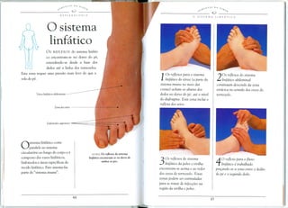 o sistema
                   linfatico
                 OS REFLEXOS do sistema linfati-
                 co encontram-se no dorso do pe,
                 estendendo-se   desde a base dos
                 dedos ate a linha dos tomozelos.
Esta zona requer uma pressao mais leve do que a
sola do pe.                                                                        1  Os reflexos para 0 sistema
                                                                                       linfatico do t6rax (a parte do   2   Os reflexos do sistema
                                                                                                                            linfd.tico abdominal
                                                                                  sistema imune no meio das             continuam descendo da zona
                                                                                  costas) acham-se abaixo dos           tord.cica no sentido dos ossos do
                                                                                  dedos no dorso do pe, ate 0 nfvel     tornozelo.
                                                                                  do diafragma. Esta zona inclui 0
                                                                                  reflexo dos seios.




O     Sistema linfatico corre
      paralelo ao sistema
circulat6rio ao longo do corpo e e            ACIMA   Os reflexos do sistema
composto dos vasos linfaticos,              linfcitico encontram~se no dorsa de

linfonodos e areas espedficas do
tecido linfatico. Este sistema faz
                                                      ambos os pes.
                                                                                  3    Os reflexos do sistema
                                                                                       linfd.tico da pelve e virilha    4   0 reflexo para 0 fluxo
                                                                                                                            linfd.tico e trabalhado
                                                                                  encontram-se acima e ao redor         pin<;:ando-sea zona entre     0   dedao
parte do "sistema imune".                                                         dos ossos do tornozelo. Estas         do pe e 0 segundo de do .
                                                                                  zonas podem ser estimuladas
                                                                                  para se tratar de infec<;:i5es
                                                                                                               na
                                                                                  regiao da virilha e pelve.
 