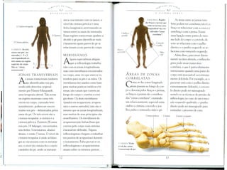 .t-.TESDOS
                                 ~ x,~' V.               A   It I-   f

                                                <!-
                                    REFLEXOLOCIA




                                                      sos se encontram com os tarsos; 0                                A ESQUERDA Regioes                As areas entre as juntas ram-
                                                                                                                      dos brafos   e IJemas   que
                                                      nivel da cintura pelvica e uma                                                                 bem podem ser correlatas; isto e, 0
                                                                                                                        estiio na mesma zona
                                                      linha imagimria atravessando os                                   ongitudinal   SaD    con~   bra<;:o relacionar com a coxa e 0
                                                                                                                                                           se
                                                      tarsos entre os ossos clo tornozelo.                                 sideradas   Hzonas        antebra<;:ocom a perna. Existe
                                                                                                                               correlatas".
                                                      Essas regi6es transversais ajuclam a                                                            uma liga<;:ao  entre partes do mes-
                                                      diviclir 0 pe para iclentificar mais                                                            mo lado do corpo: 0 cotovelo di-
                                                      clara mente quais partes do pe se                                                               reito se relaciona com 0 joelho
                                                      relacionam a tais partes clo corpo.                                                            direito, e 0 punho esquerdo se re-
A DIREITA As tres
zonas nos pes. nu-                                                                                                                                    laciona com tomozelo esquerdo.
meradas 1, 2 e 3.                                     MERIDIAN          OS                                                                                Alem disso, para atuar direra-
correspond en do as
tres zonas na regiao
superio,' do COt"po.
Sao as "zonas
                       3
                                                      A    lguns especialistas alegam
                                                            que a refiexologia trabalha
                                                                                                                                                     mente na area afetada, 0 refJexolo-
                                                                                                                                                     gista pode atuar numa area
                                                                                                                                                     correlata, 0 que e particularmente
                                                      nao com as zonas longitudinais,
transversais ".
                                                      mas com meridianos encontrados                                                                 interessante quando uma parte do
                                                      no corpo, uma vez que estes se es-             AREAS    DE        ZONAS                        corpo esta inacessivel ou extrema-

       A     s zonas transversais tambem
             sao identificadas nos pes,
                                                      tendem para os pes e as maos. Os
                                                      merid lanos sac usados como base
                                                                                                     CORRELATAS

                                                                                                     C     omo as dez zonas longitudi-
                                                                                                           nais passam ao longo do cor-
                                                                                                                                                     mente dolorida. Por exemplo, se 0
                                                                                                                                                     paciente esta com 0 joelho direito
       tendo sido descritas original-                 para muitas praticas medicas chi-                                                              extremamente dolorido, 0 cotove-
       mente por Hanne Marquarclt,                    nesas; sao canais que correm ao                po e descem pelos bra<;:os pernas,
                                                                                                                                e                    10direito pode ser massageado
       uma terapeuta alema_ Tais zonas                longo do corpo e contem a ener-                os bra<;:os pernas sao considera-
                                                                                                                e                                    usando-se as tecnicas de pressao da
       ou regi6es mostram como tres                   gia deste. Os doze meridianos                  dos "zonas correlatas", existindo               refJexologia; no caso de um tomo-
       niveis no corpo, correndo hori-                (usados em acupuntura, acupres-                um relacionamento especial entte                zelo esquerdo quebrado, 0 punho
       zontalmente, podem ser encon-                  sura e outros metod os) nao sao 0              ombro e cintura; COtovelo e joe-                direito pode ser massageado para
       traclos nos pes - delimitados pelos            mesmo que as zonas longituclinais,             lho; pulso e tornozelo; mao e pe.               estimular 0 processo de cura.
       ossos do pe. Os tres niveis sac a              mas muitos cle seus principios sao
       cintura escapular, a cintura e a               semelhantes. Os meridianos cia
       cintura pelvica. Existem 26 ossos              acupuntura sao Iinhas finas que
       nos pes: 14 falanges, encontrados              con'em pelo corpo num sistema
       nos dedos; 5 metatarsos, abaixo                clara mente clefiniclo. Alguns
       dessas; e entao 7 tarsos. 0 nivel da           refiexologistas chegam a trabalhar
       cintura escapular e onde as falan-             em pontos de acupuntura durante
       ges se encontram com os metatar-               o tratamento. Falta provar se os
                                                                                             A DIREITA Visiio
       sos; 0 nivel cia cintura fica a meio           reflexologistas e acupunturistas       geral das zonas
       caminho do pe, onde os metatar-                atuam sobre os mesmos pontos ...       transversais do peL
 