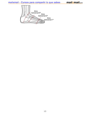 15
mailxmail - Cursos para compartir lo que sabes
 