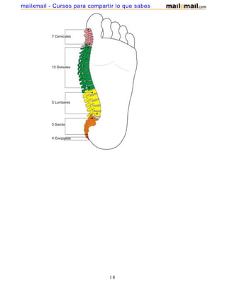 18
mailxmail - Cursos para compartir lo que sabes
 