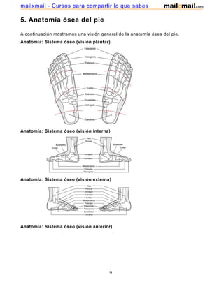 5. Anatomía ósea del pie
A continuación mostramos una visión general de la anatomía ósea del pie.
Anatomía: Sistema óseo (visión plantar)
Anatomía: Sistema óseo (visión interna)
Anatomía: Sistema óseo (visión externa)
Anatomía: Sistema óseo (visión anterior)
9
mailxmail - Cursos para compartir lo que sabes
 