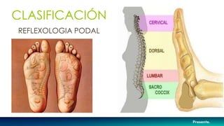 CLASIFICACIÓN
REFLEXOLOGIA PODAL
 