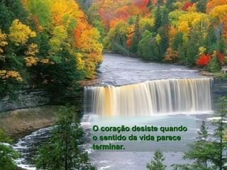 O coração desiste quando o sentido da vida parece terminar.   