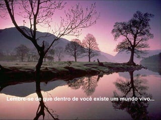 L embre-se de que dentro de você existe um mundo vivo... 
