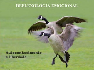 REFLEXOLOGIA EMOCIONAL Autoconhecimento e liberdade 
